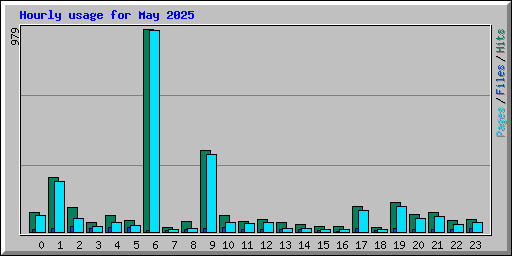 Hourly usage for May 2025