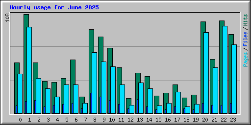 Hourly usage for June 2025