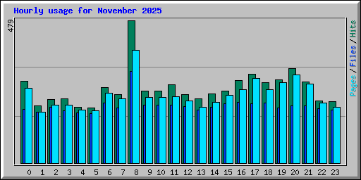 Hourly usage for November 2025