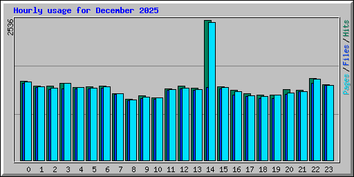 Hourly usage for December 2025
