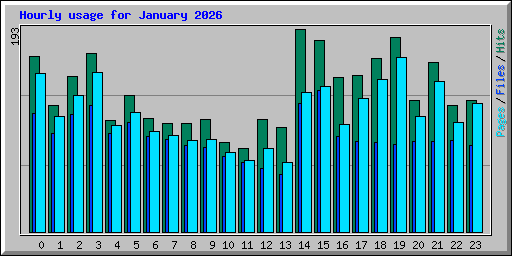 Hourly usage for January 2026